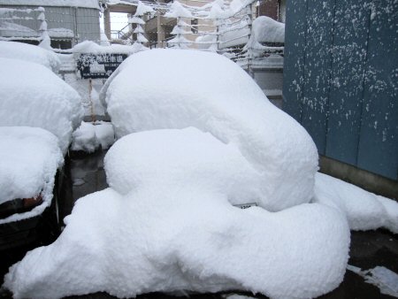 2010年1月14日ドカ雪インスパイア.jpg