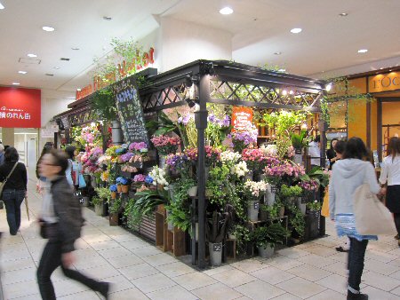 素敵な花屋さん 社長ブログ 鮨蒲本舗 河内屋